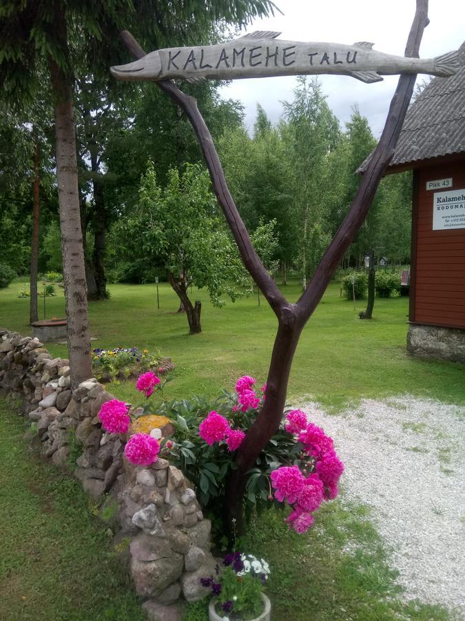 Kalamehe Farmstay Alatskivi Kültér fotó
