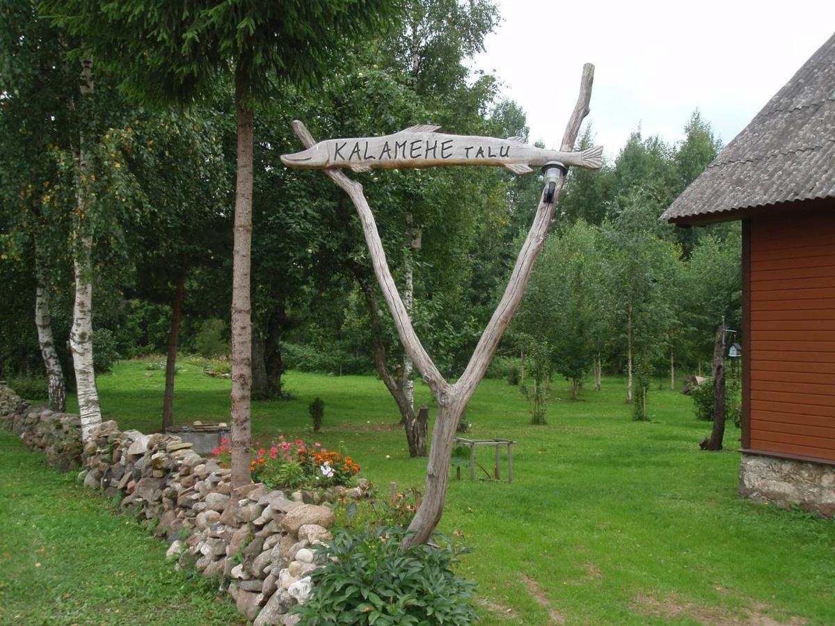 Kalamehe Farmstay Alatskivi Kültér fotó
